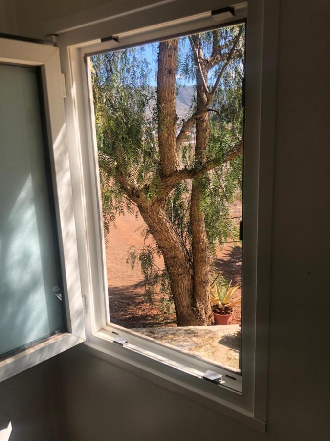 Casita Entre Vinedos, Experiencia Rural, Ideal Ninos. Tegueste ภายนอก รูปภาพ
