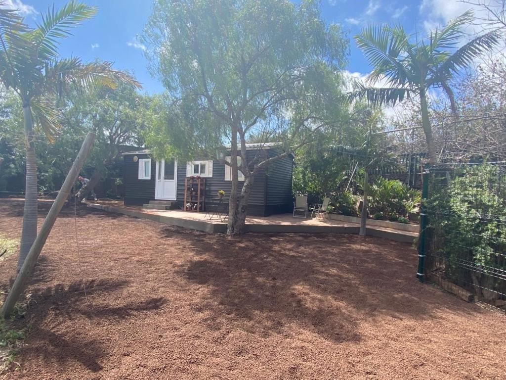 Casita Entre Vinedos, Experiencia Rural, Ideal Ninos. Tegueste ภายนอก รูปภาพ
