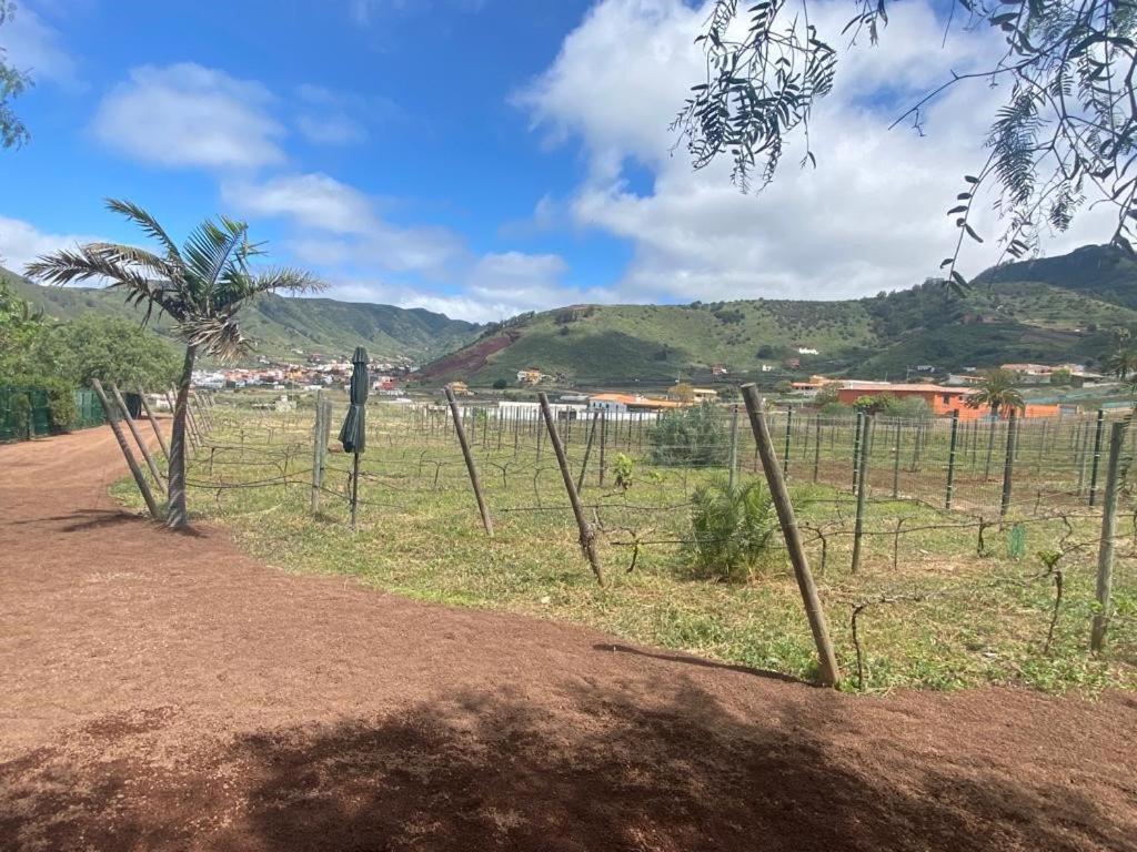 Casita Entre Vinedos, Experiencia Rural, Ideal Ninos. Tegueste ภายนอก รูปภาพ