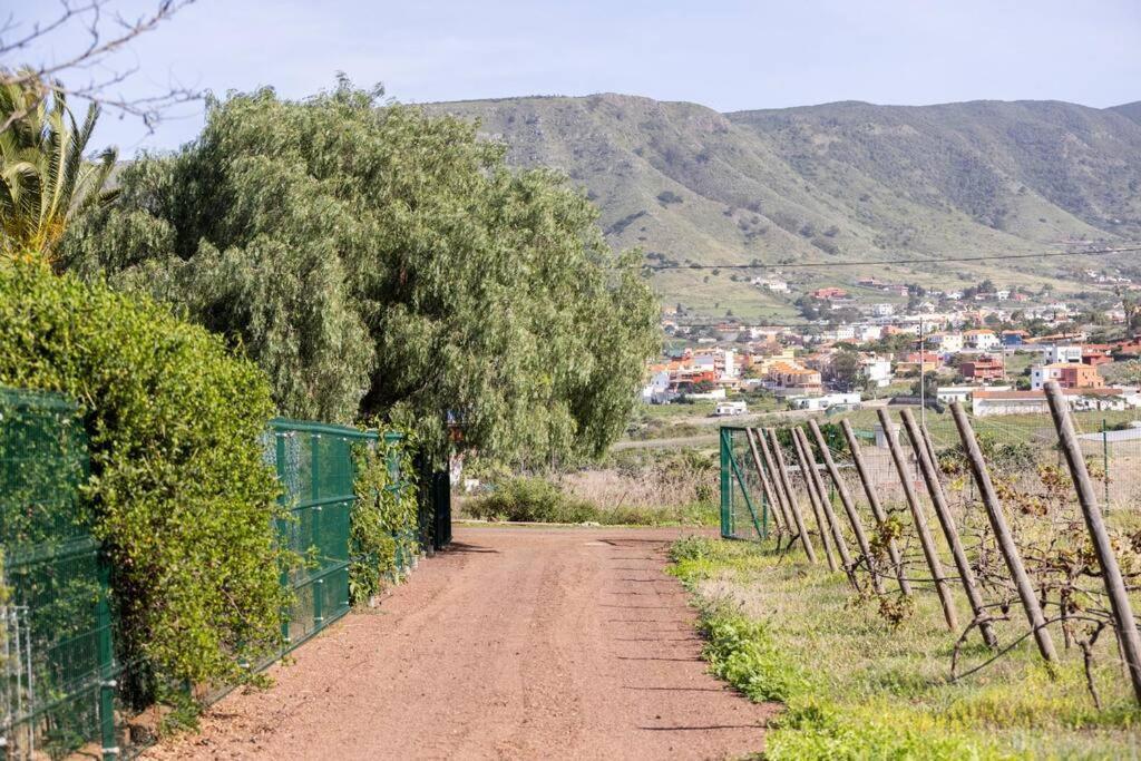 Casita Entre Vinedos, Experiencia Rural, Ideal Ninos. Tegueste ภายนอก รูปภาพ