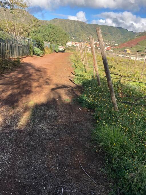Casita Entre Vinedos, Experiencia Rural, Ideal Ninos. Tegueste ภายนอก รูปภาพ
