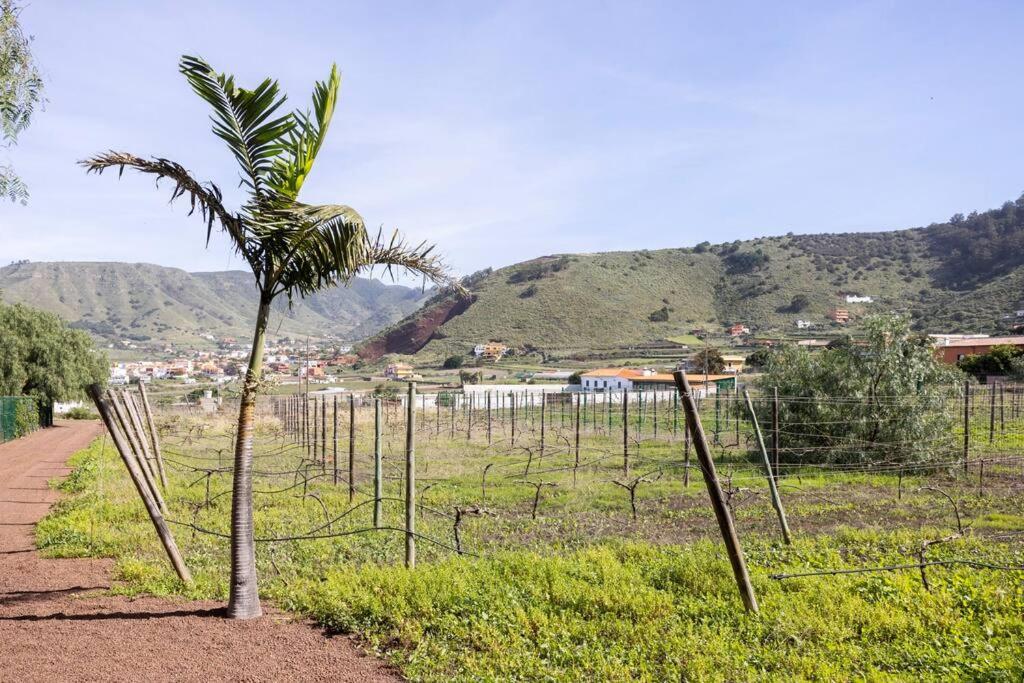 Casita Entre Vinedos, Experiencia Rural, Ideal Ninos. Tegueste ภายนอก รูปภาพ