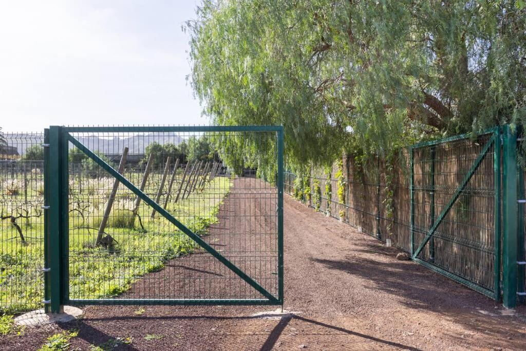 Casita Entre Vinedos, Experiencia Rural, Ideal Ninos. Tegueste ภายนอก รูปภาพ