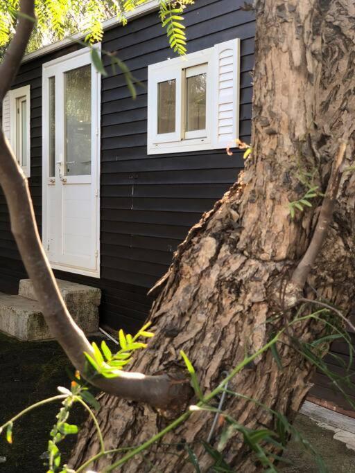 Casita Entre Vinedos, Experiencia Rural, Ideal Ninos. Tegueste ภายนอก รูปภาพ