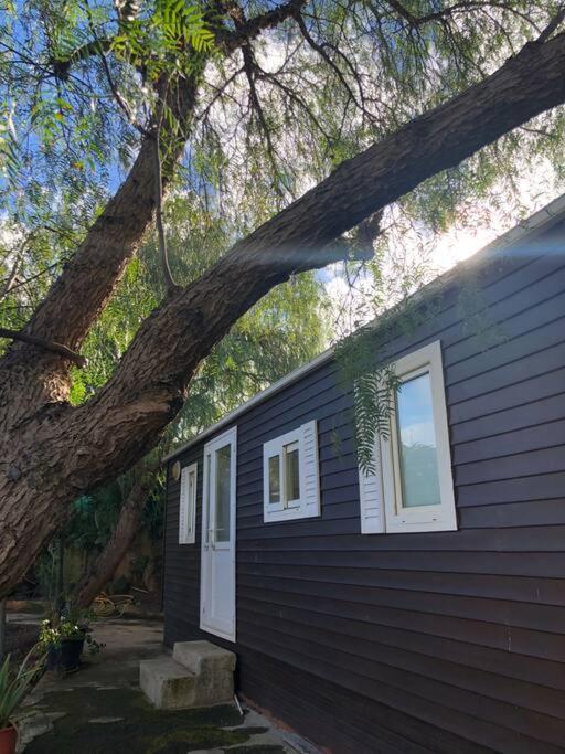 Casita Entre Vinedos, Experiencia Rural, Ideal Ninos. Tegueste ภายนอก รูปภาพ