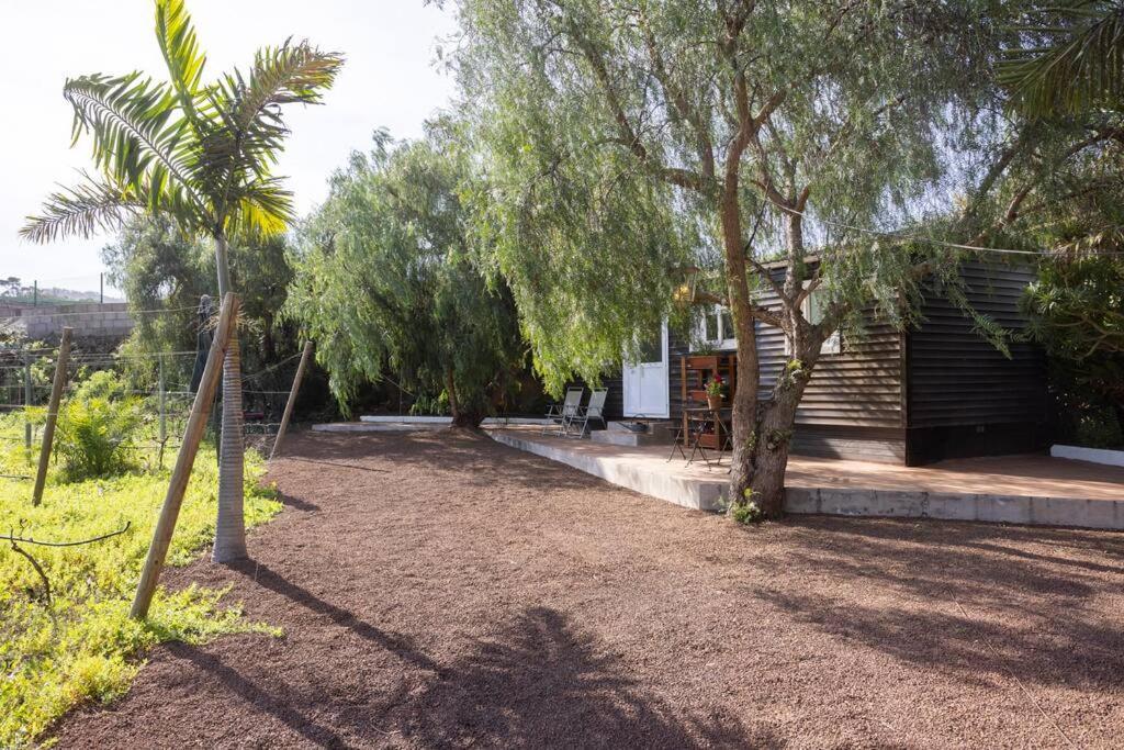 Casita Entre Vinedos, Experiencia Rural, Ideal Ninos. Tegueste ภายนอก รูปภาพ