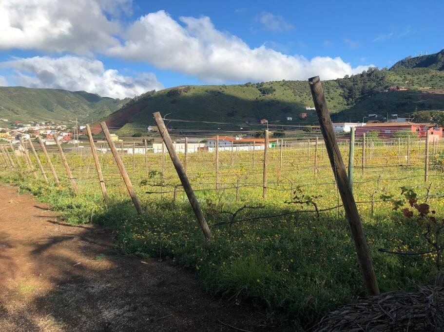 Casita Entre Vinedos, Experiencia Rural, Ideal Ninos. Tegueste ภายนอก รูปภาพ